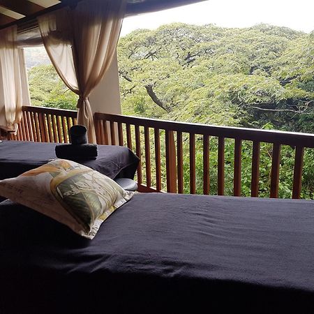 Honeywood Forest Lodge พอร์ตเชพสโตน ภายนอก รูปภาพ