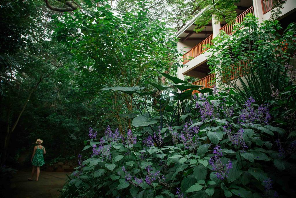 Honeywood Forest Lodge พอร์ตเชพสโตน ภายนอก รูปภาพ