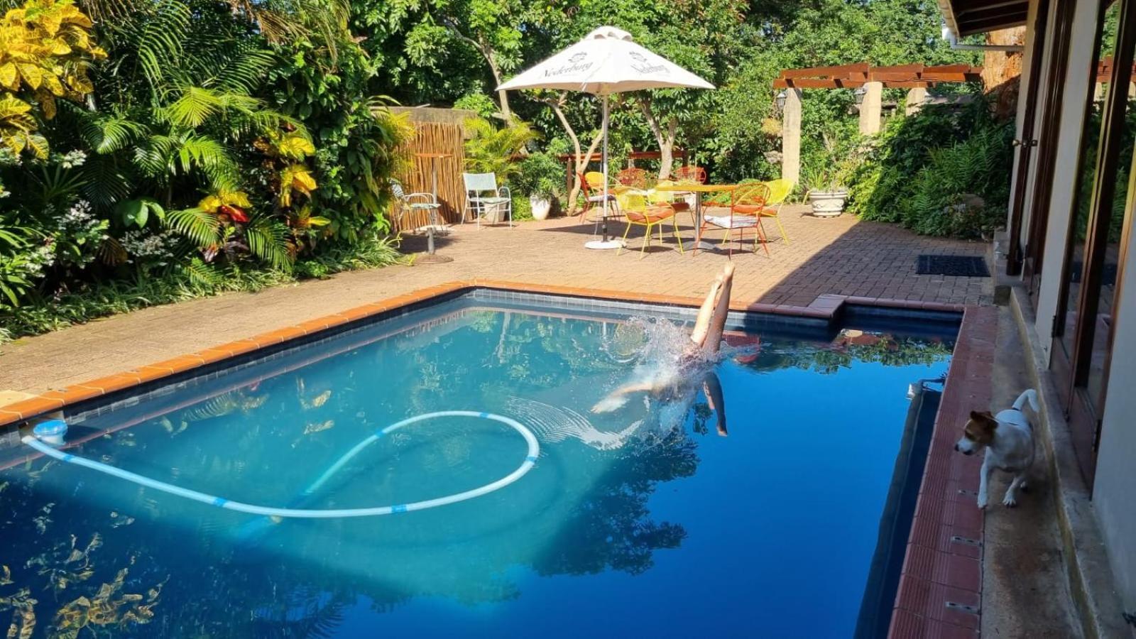 Honeywood Forest Lodge พอร์ตเชพสโตน ภายนอก รูปภาพ