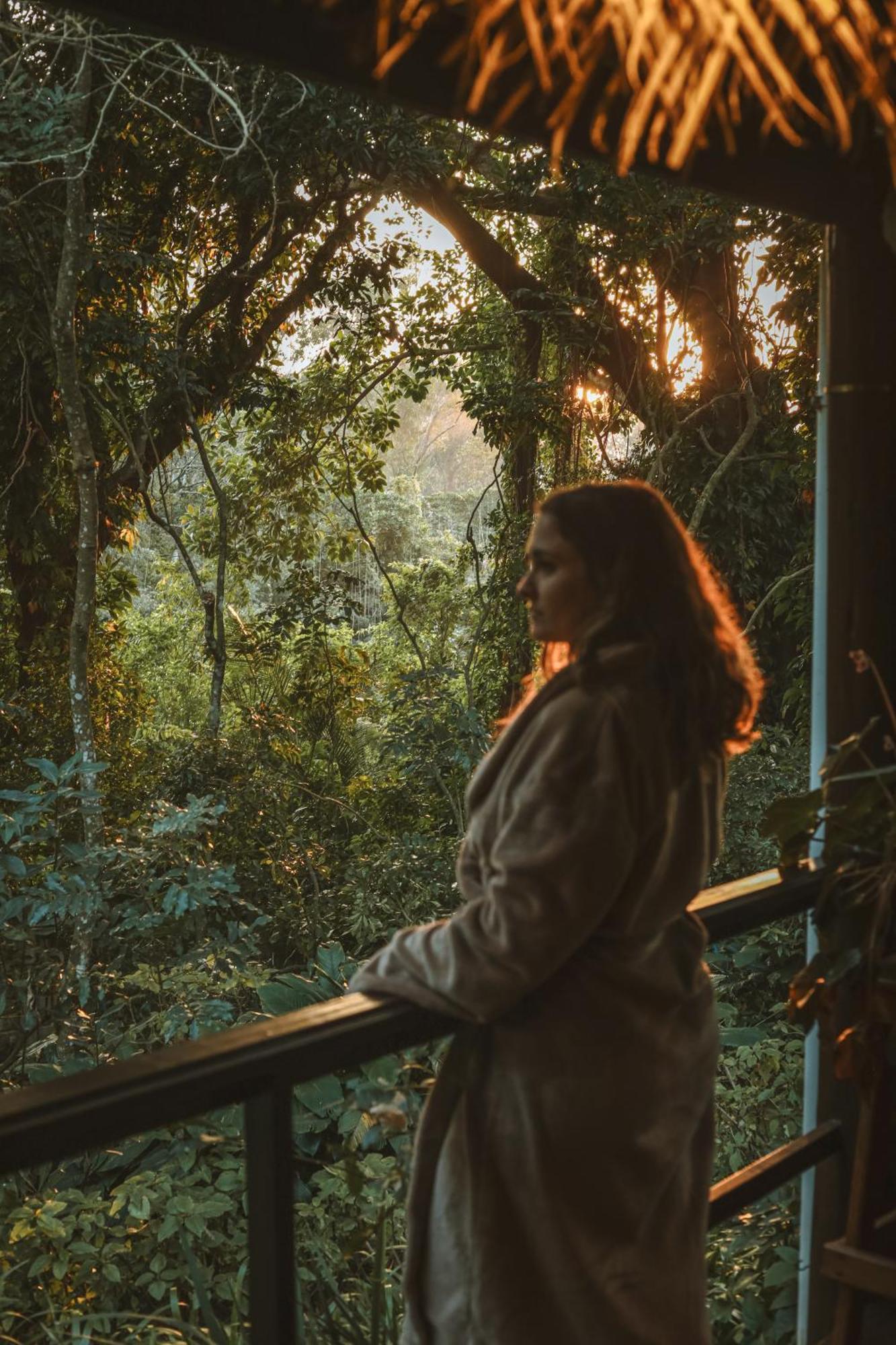 Honeywood Forest Lodge พอร์ตเชพสโตน ภายนอก รูปภาพ