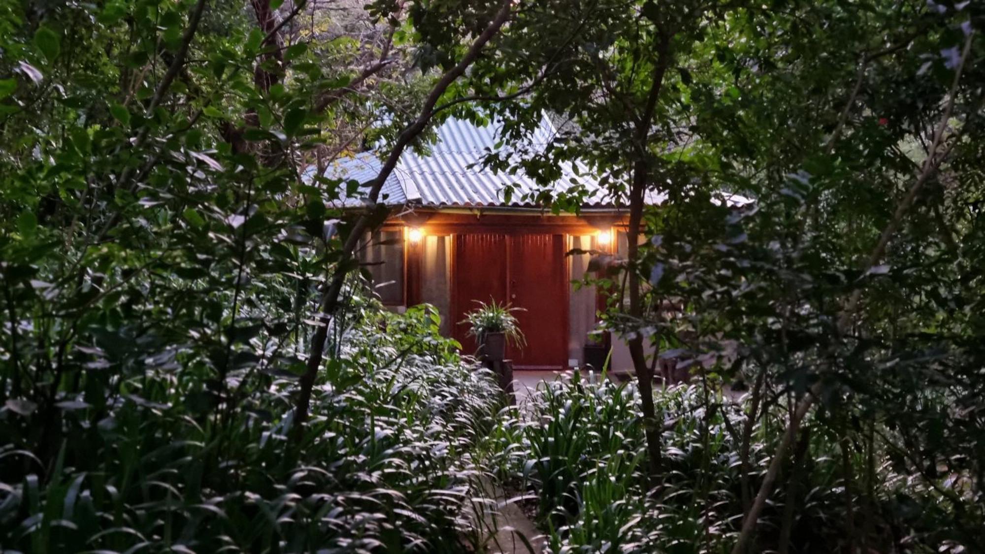 Honeywood Forest Lodge พอร์ตเชพสโตน ภายนอก รูปภาพ