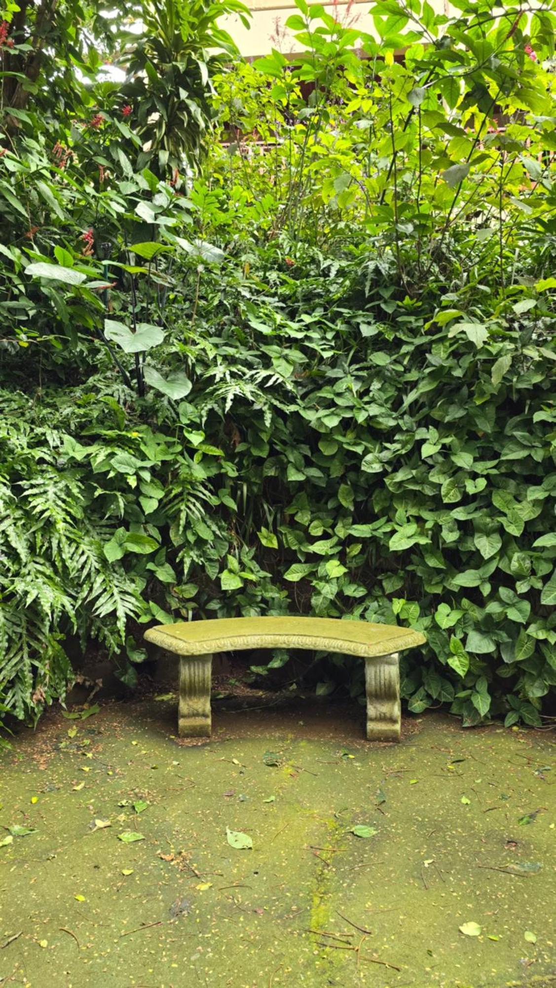 Honeywood Forest Lodge พอร์ตเชพสโตน ภายนอก รูปภาพ