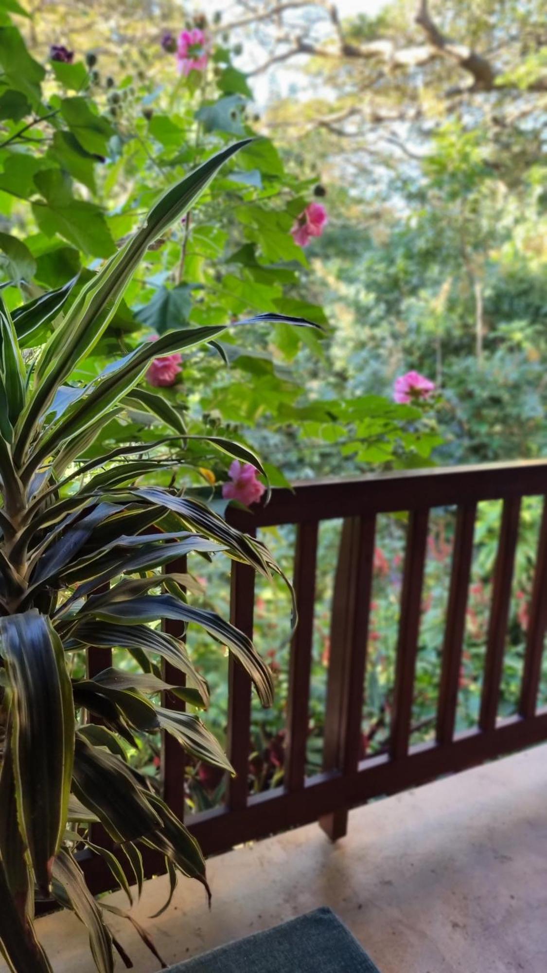 Honeywood Forest Lodge พอร์ตเชพสโตน ภายนอก รูปภาพ