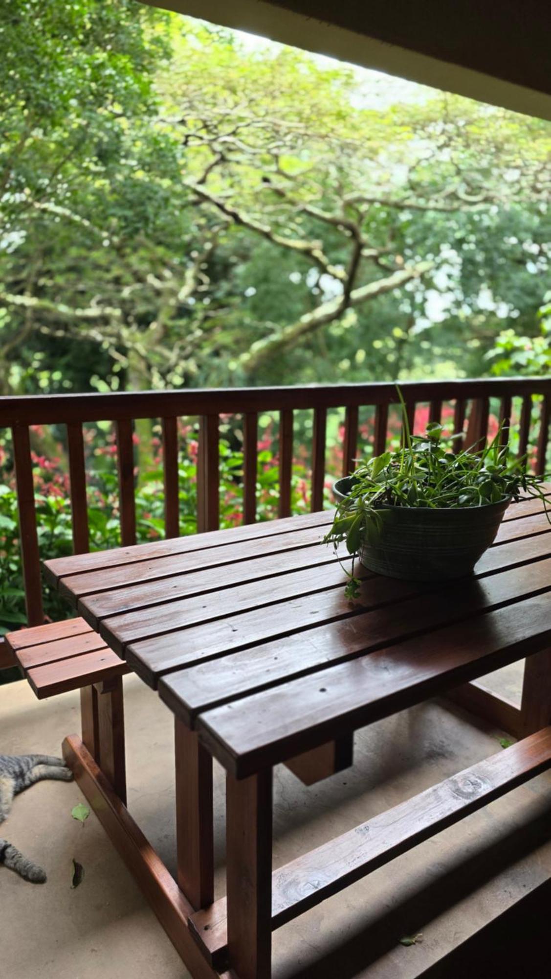 Honeywood Forest Lodge พอร์ตเชพสโตน ภายนอก รูปภาพ